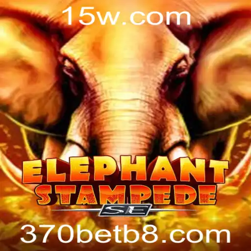 370bet Casino App